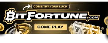 Discovering Bitfortune A Step-by-Step Tour of the Crypto Casino Experience